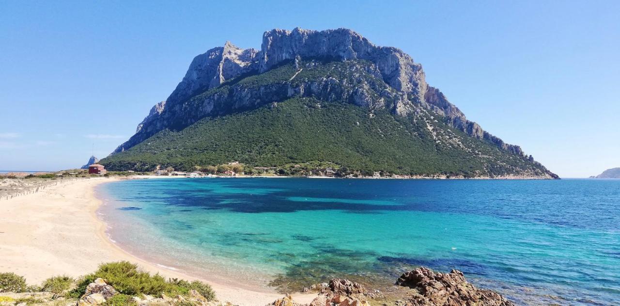 Iss Travel, Ambra Apartments - 800 M From La Cinta Beach San Teodoro (Sardinia) Exterior foto